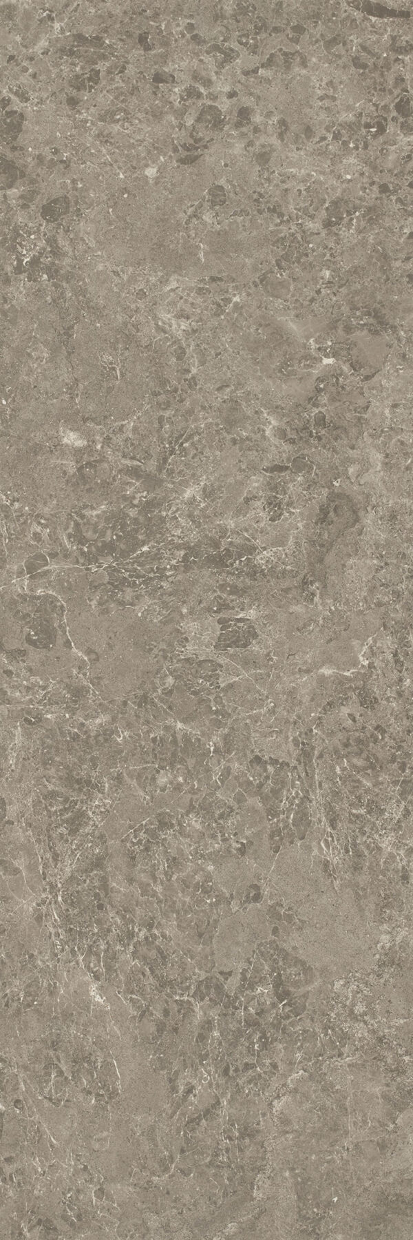 Margres Linea Pure Stone Grey Wandfliese und Bodenplatte 100x250 cm