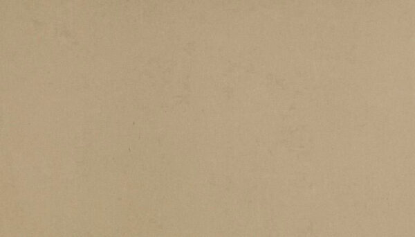 Margres Linea Time 2.0 Beige Wandfliese und Bodenplatte 50x100 cm