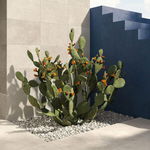 CIR Manufatture Ceramiche Contrada Valente