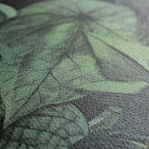 Cotto d'Este Wonderwall Wandverkleidung | Wandverkleidungen und Fliesen