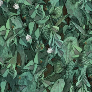 Kerlite Wonderwall Printemps Dekorfliese 50x100 cm
