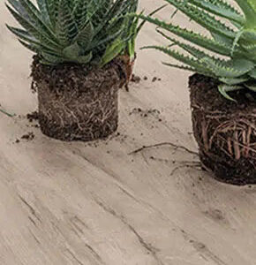 Laminam Legno Venezia Steinoptik Bodenfliese | Fliesen und Fliesen