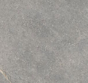 Lea Ceramiche Anthology Gray 20 mm Worn Wandfliese und Bodenbelag 60x120 cm