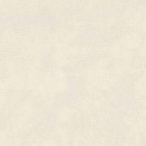 Lea Ceramiche Take Care Snow Wandfliese und Bodenbelag 100x50 cm