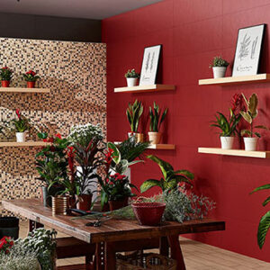 Love Ceramic Splash Wandverkleidung | Fliesen und Mosaike