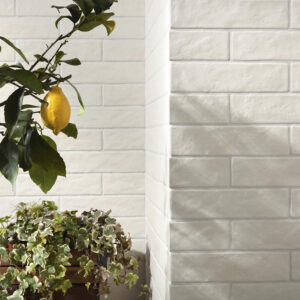 Ragno Calce Wandverkleidung   | Mosaike und Fliesen