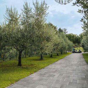 CIR Manufatture Ceramiche Reggio Nell'Emilia