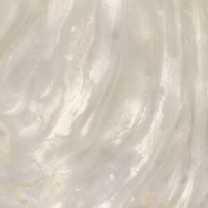 Roberto Cavalli Bright Pearl Ivory Bodenfliese 80x80 cm