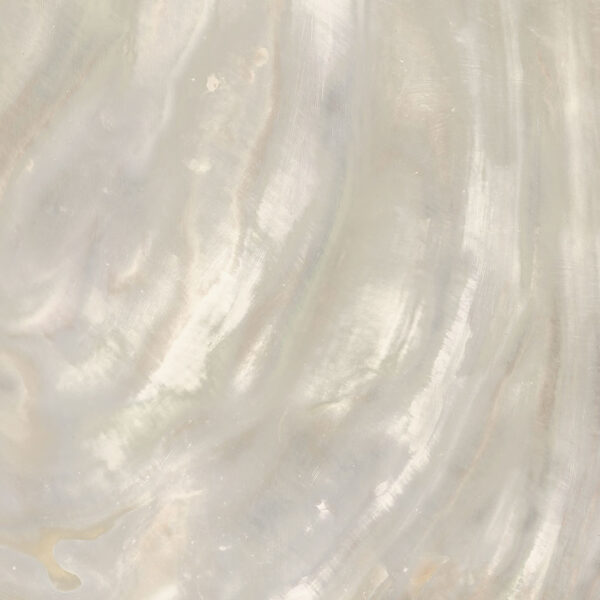 Roberto Cavalli Bright Pearl Ivory Bodenfliese 80x80 cm