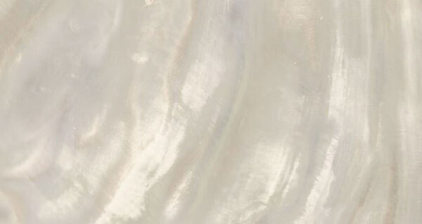 Roberto Cavalli Bright Pearl Ivory Bodenfliese 80x180 cm