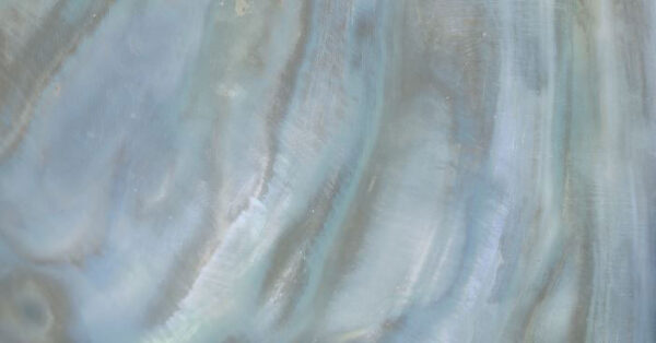 Roberto Cavalli Bright Pearl Rainbow Bodenfliese 80x180 cm