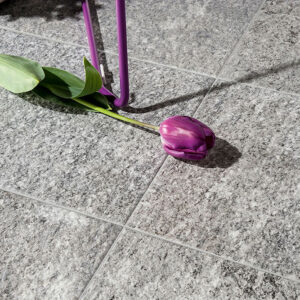 Ceramica Valsecchia Lifestone Steinoptik Bodenfliese
