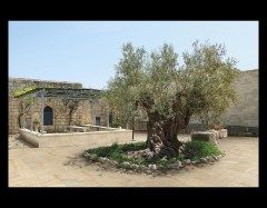 Ceramica Euro Out Door