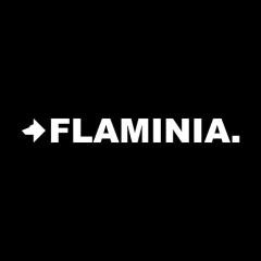 Ceramica Flaminia