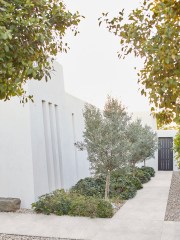 Marazzi Naturalia20