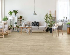 Sintesi Ceramica Mywood