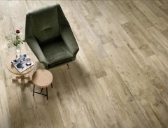 Ragno Woodmania
