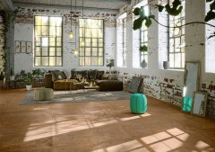 Serenissima Studio 50